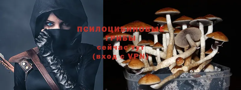 нарко площадка клад  Гурьевск  Псилоцибиновые грибы MAGIC MUSHROOMS 